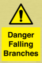 danger-falling-branches~
